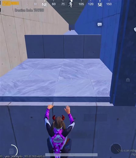 Eid Mubarak Celebrations with PUBG Fun