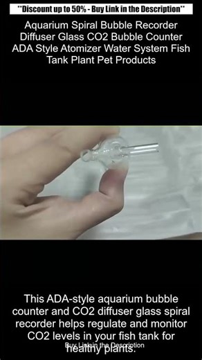 Aquarium Spiral Bubble Recorder Diffuser Glass CO2