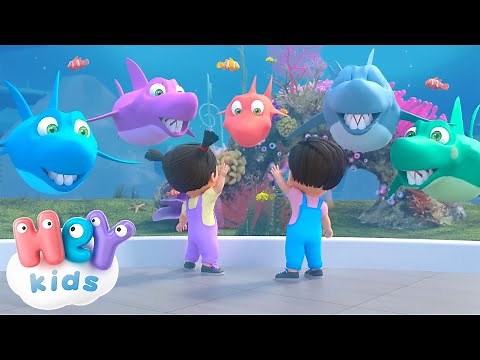 Bébé Requin ! | Chansons pour Enfants | HeyKids Français | animaux pour enfants