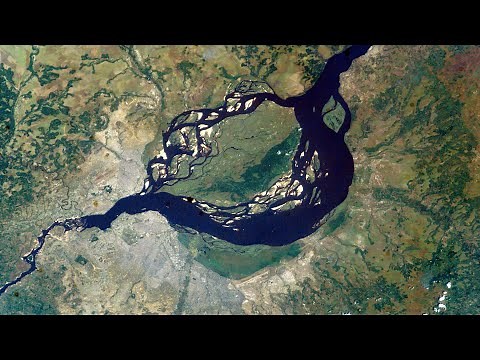 How Dead Fish Revealed Congo as the Deepest River on Earth