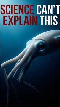 The Mysterious Magnapinna of the Deep | Science Can’t Explain This