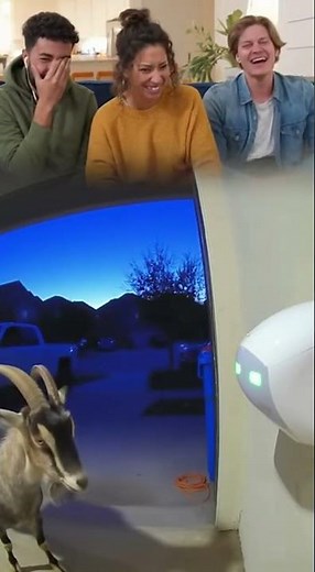 Goat Discovers Unlimited Paper Towels