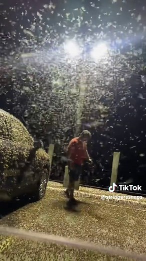 Crazy Mayfly Swarm in Michigan