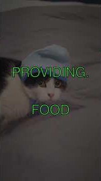 The Hidden World of Feral Cats in the US Did you know there are up to 60 million feral...