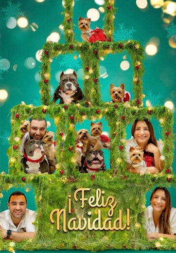 Nuestra divertida sesión de fotos familiar navideña