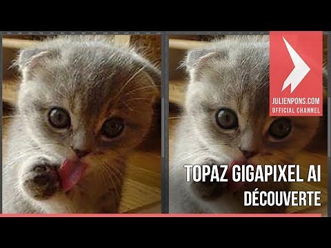Découverte de Topaz Gigapixel AI