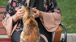 Female hugging her cat. people in live with cat .