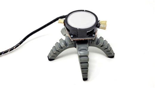 Watch As Mushroom Power Helps This Spider-Like Biohybrid Robot Bounce Along