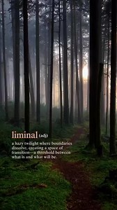 ✨ Liminal ✨—from the Latin limen, meaning “threshold”—refers to those mystical, in-between spaces where transformation occurs. Whether physical, emotional, or spiritual, these transitional states are where the magic of change happens. 🌙✨ In Celtic lore, liminality is woven into rites of passage, marking the veil between this world and the Otherworld. It’s the space where the boundaries blur, where fae might be glimpsed at twilight, and where we step into deeper awareness during solstice celebra