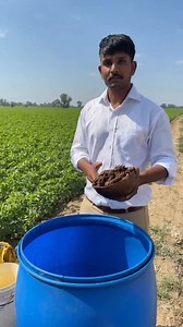 Waste Decomposer 🌿 A natural solution for healthy soil & strong crops! ✔️ Improves soil fertility ✔️ Decomposes crop waste fast ✔️ Reduces farming cost ✔️ 100% organic & eco-friendly Adopt natural farming for a better future 🌾💚 ⸻ 🔖 Hashtags #wastedecomposer #organicfarming #naturalfarming #zerobudgetfarming #soilhealth organicinput sustainablefarming desifarming farmerlife kheti agriculture krushimitra ecoagriculture | Abhii Dhakad