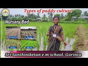 An excellent💯👍 Types of Paddy process explained by Hanisha (4th standard)