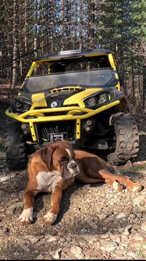 Adventures in Winter Camping with Can-Am Off-Road
