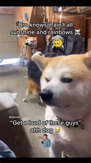 memes from discord's smelly moderator part 209 #funny #memes #shorts #funnymemes