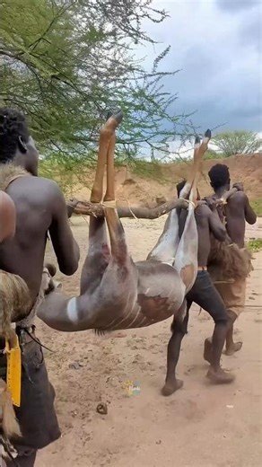When African tribes ran out of animals to hunt #facts #shorts #adivasi #hindifacts #wildlife #viral