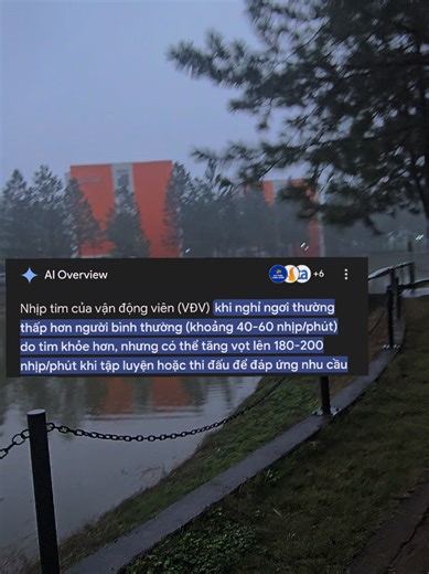 Heart Races: Running and Cycling Endurance Tips