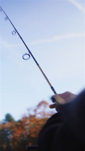 13 reactions | From fairs and festivals to Halloween fun—experience fall in the Santa Claus, Indiana, area!  | Santa Claus, Indiana | Facebook