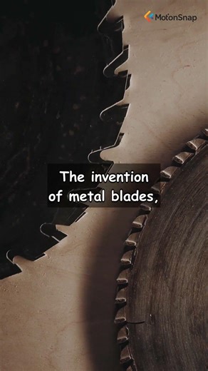 The Saw: Cutting Through Time