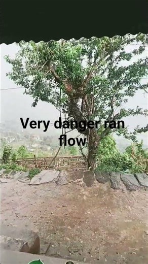 very danger ran flow