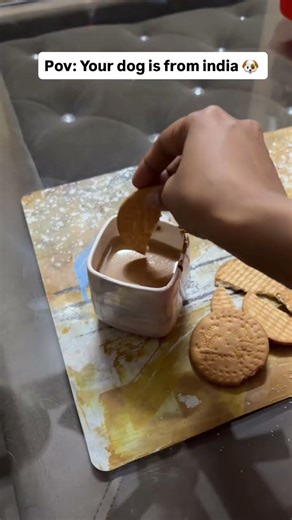 Chai me dooba ke hi khayega biscuit 😋 #goldenretreiver #goldenretreivers #pets