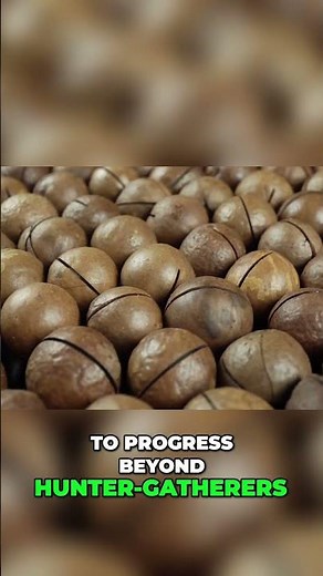 Brazil Nuts vs. Macadamia: Nature's Hardest Shells Explained! #shorts
