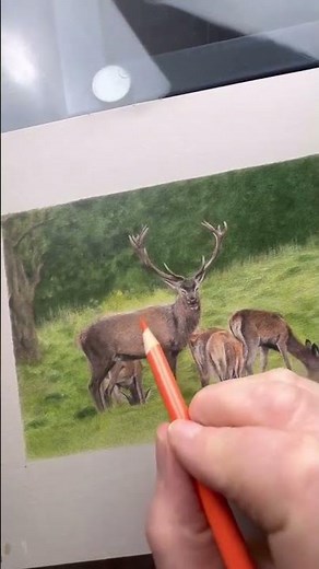 Learn how to draw backgrounds