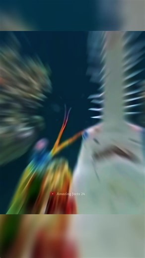 Творения Аллаха3#интересное #creatorsearchinsights #islamicviralvideo #islamicreels #жывотные