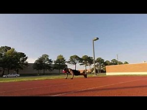 BRICKZILLA HIGHLIGHT VIDEO