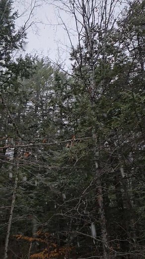 Nick Archer on Reels