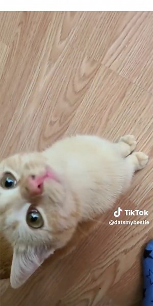 An unexpected visitor 😁