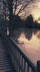 40K views · 1.2K reactions | The Water Meadow is more water than meadow at the moment - very beautiful in the morning sun. If you’re wondering, the deer are safe and dry in the Grove | Magdalen College, Oxford | Facebook