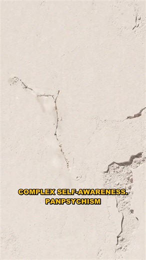 The Baffling Evolution of Consciousness