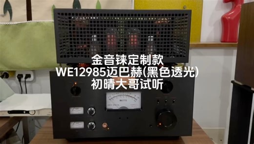 初晴大哥反馈 私人定制黑色金属屏845 相比透明更细腻 符合声音分析力和柔美齐聚 声音偏暖而不刺耳 外观黑色玻壳透出散热孔形状 大气美观独特 有些2a3小功率感