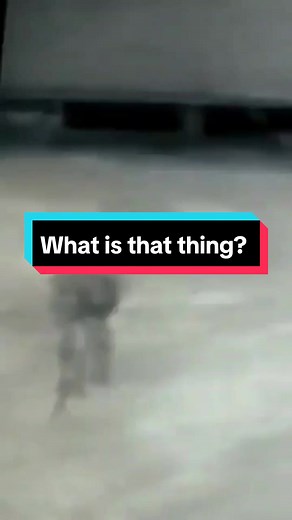 Jellyfish-Like UFO Sighting in Florida 2024