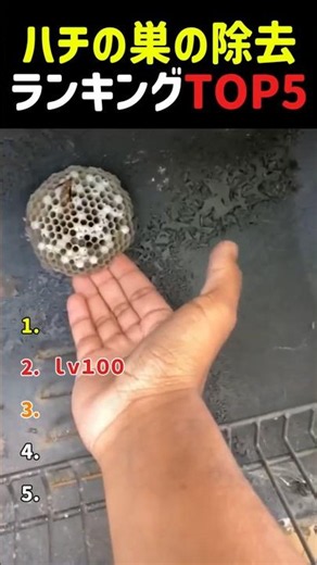 衝撃のハチの巣除去の瞬間まとめ！