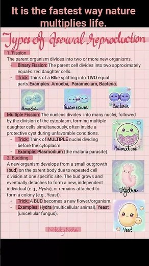 📚 Class 10 Biology: Asexual Reproduction Explained#science #biology #class10 #sumsung#notes