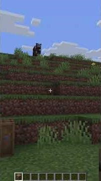 Minecraft Java 1.21.11⚙️ Items super einfach duplizieren