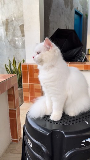 1.4M views · 68K reactions | Para kang stuff toy inday  #fblifestyle | Chloe | Facebook