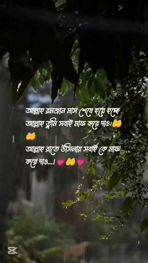 সবাইকে মাফ করে দাও। আমিন..!🤲🤲