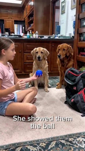 You Can Tell Which Dog Is Smarter #dogs #tricks