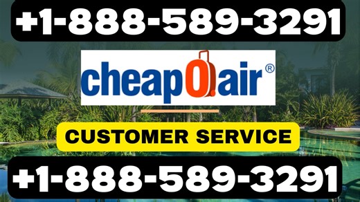 How to Call Cheapoair Customer Service {USA} | Ultimate 24/7 Support Guide