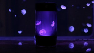 Pet Jellyfish & Premium Jellyfish Aquariums | Jellyfish Art