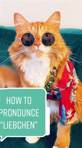German cat name ideas every pet owner should see
