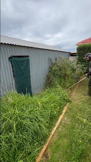 🌿 Turning jungle back into garden! 💪 #shortsvideo