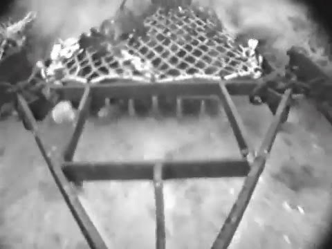 Scallop Dredges in Action