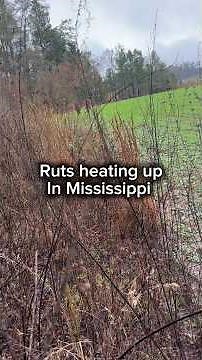 The best morning ever! Inane #comedyreels #deerhunting #hunting #rut