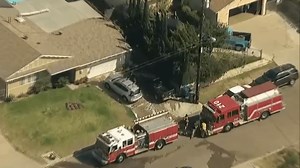 ‘Then it went bad': 3 hospitalized, dog killed after bees swarm, sting Lemon Grove family