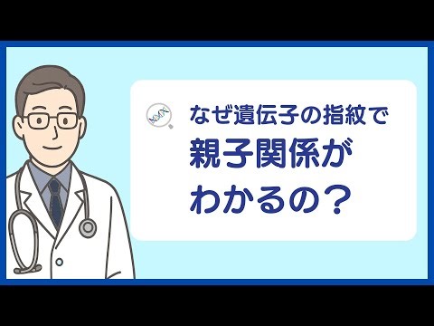 なぜ遺伝子の指紋で、親子関係がわかるの？
