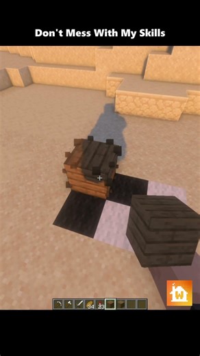 Don't Mess With My Skills #minecraft #shorts