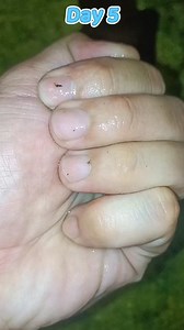 18K views · 277 reactions | Quá Trình Phát Triển Của Lia Thia Hoang Dã Alien Green Như Thế Nào ? #alien | Lia Thia Hoang Dã - Lê Nhựt Bình | Facebook