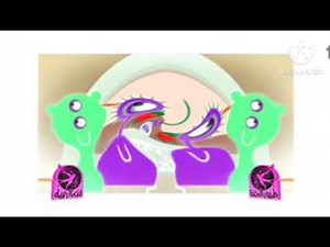 الجزرة | طيور الجنة In A Major